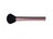 Blush Brush